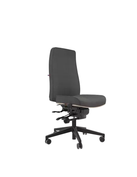 Siège ergonomique AIGOUAL