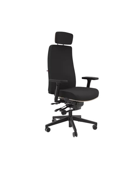 Siège ergonomique AIGOUAL