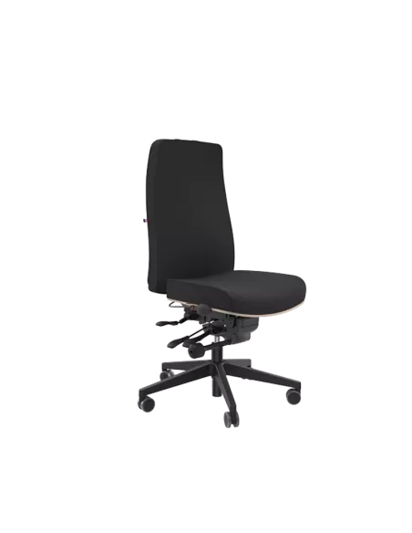 Siège ergonomique AIGOUAL