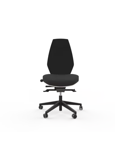 Siège ergonomique ESPEROU