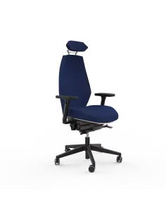 Siège ergonomique ESPEROU 2
