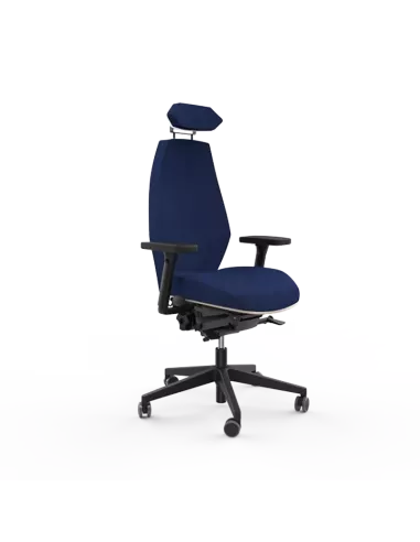 Siège ergonomique ESPEROU