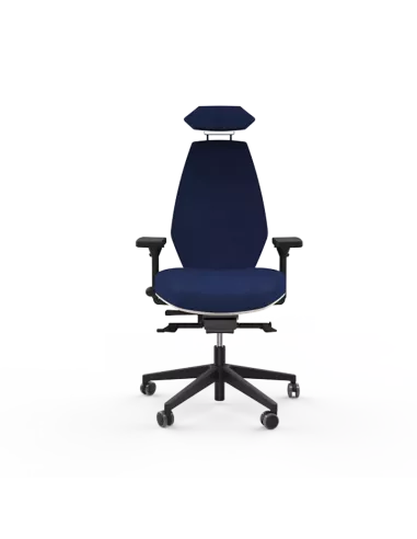 Siège ergonomique ESPEROU