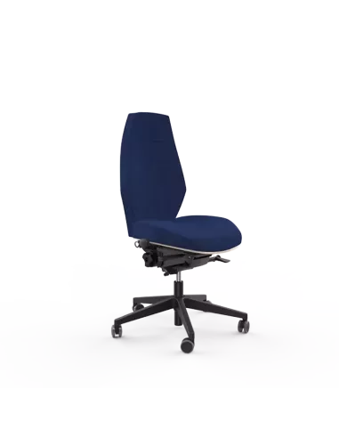 Siège ergonomique ESPEROU