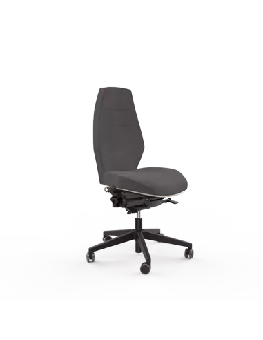 Siège ergonomique ESPEROU