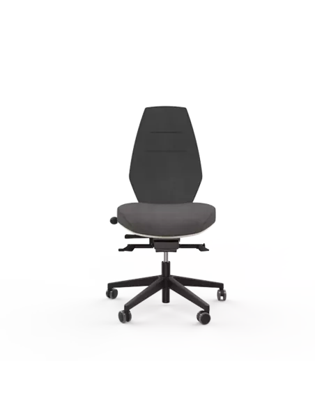 Siège ergonomique ESPEROU