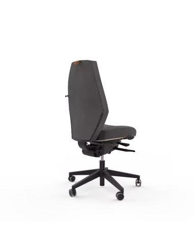 Siège ergonomique ESPEROU