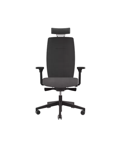 Siège ergonomique ANDUZE