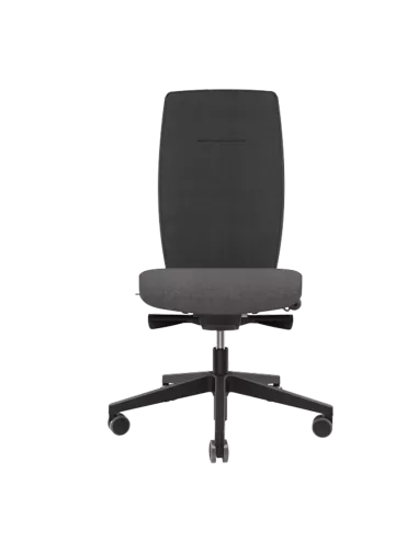 Siège ergonomique ANDUZE