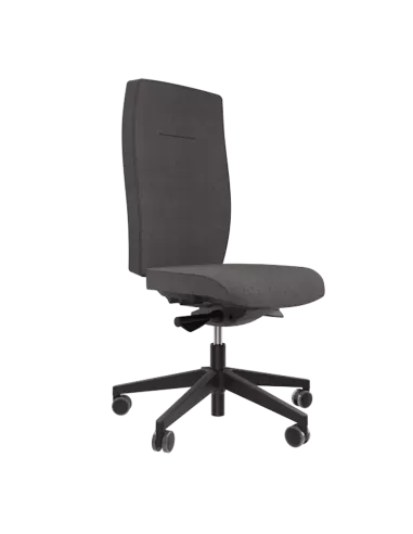 Siège ergonomique ANDUZE