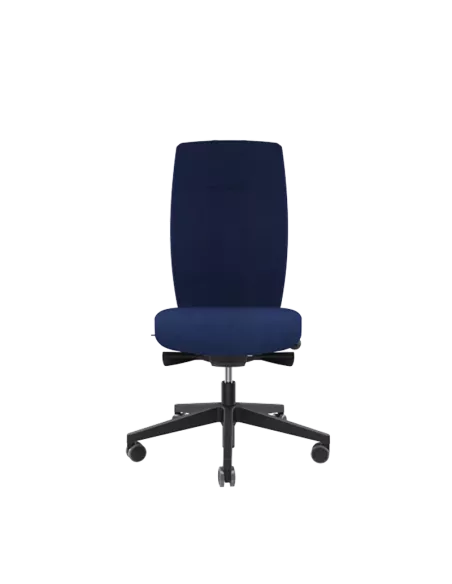 Siège ergonomique ANDUZE