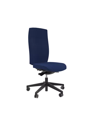 Siège ergonomique ANDUZE