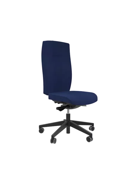 Siège ergonomique ANDUZE