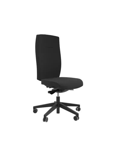 Siège ergonomique ANDUZE