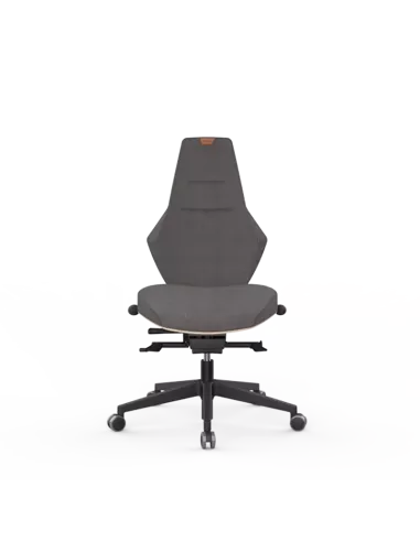 Siège ergonomique VENTOUX