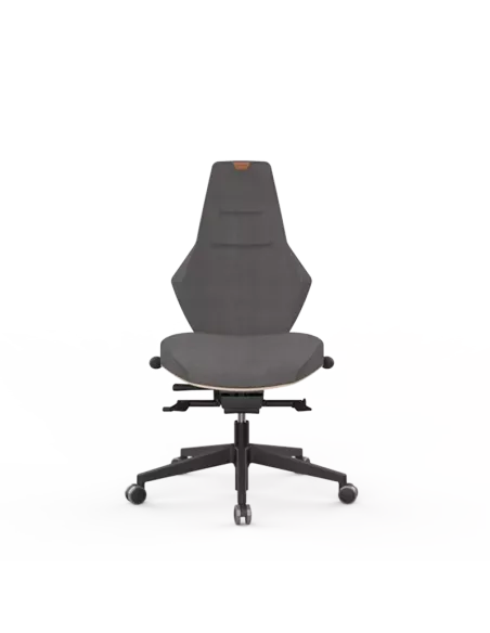 Siège ergonomique VENTOUX