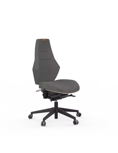 Siège ergonomique VENTOUX