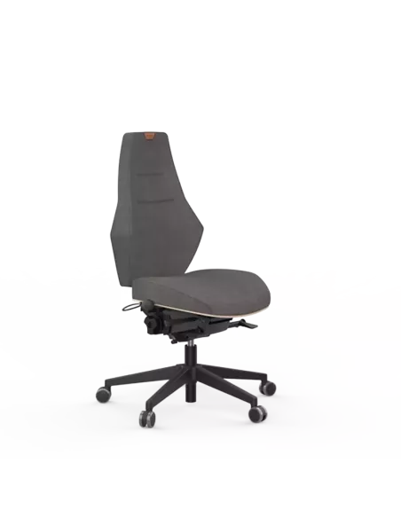 Siège ergonomique VENTOUX