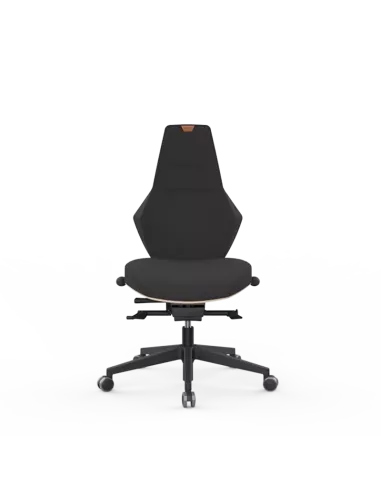 Siège ergonomique VENTOUX