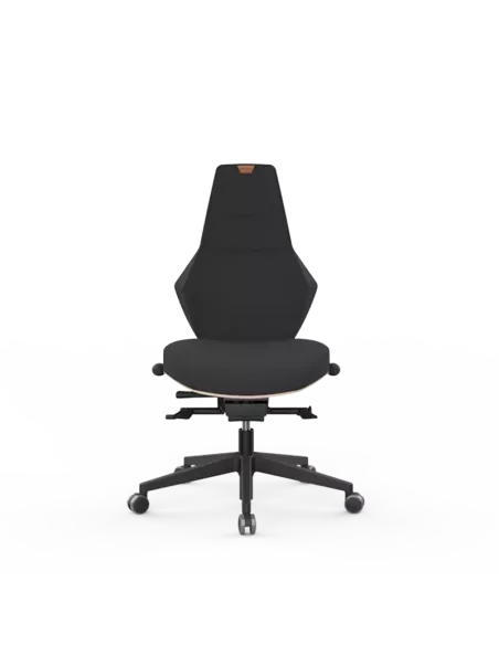 Siège ergonomique VENTOUX