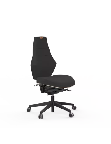Siège ergonomique VENTOUX