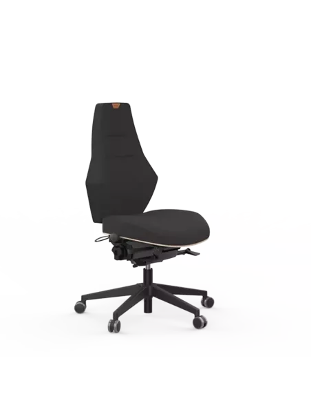 Siège ergonomique VENTOUX