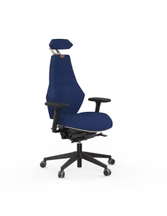 Siège ergonomique VENTOUX 2