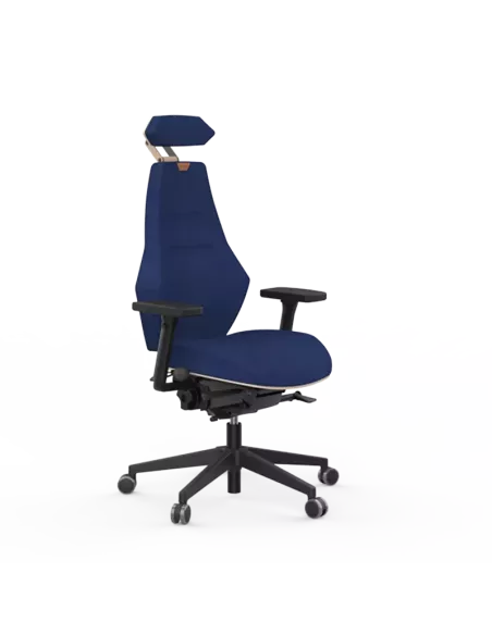 Siège ergonomique VENTOUX