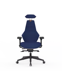 Siège ergonomique VENTOUX