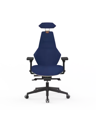 Siège ergonomique VENTOUX