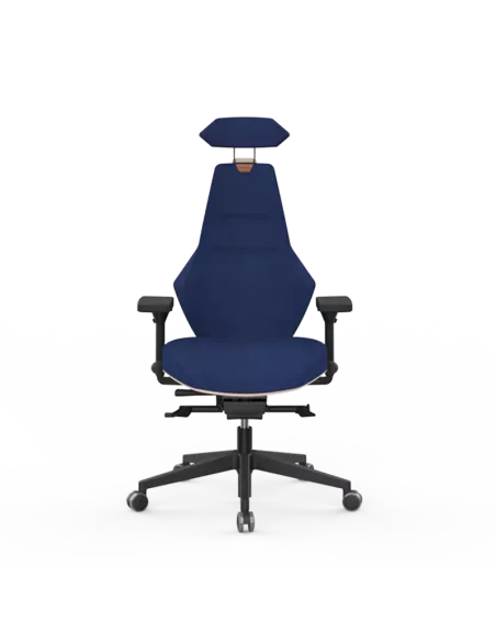 Siège ergonomique VENTOUX