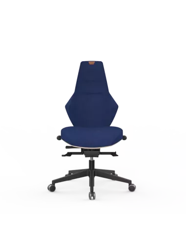 Siège ergonomique VENTOUX