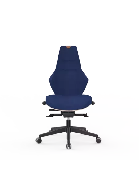 Siège ergonomique VENTOUX
