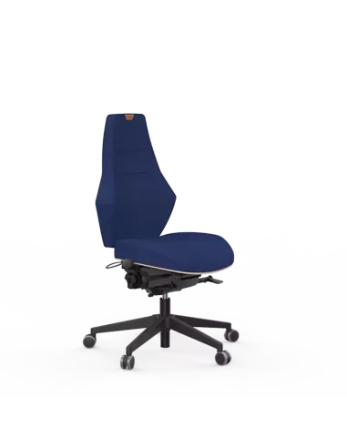 Siège ergonomique VENTOUX