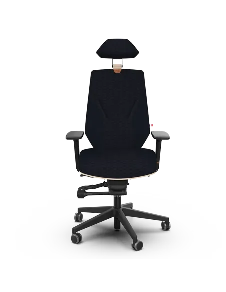Siège ergonomique AIGOUAL