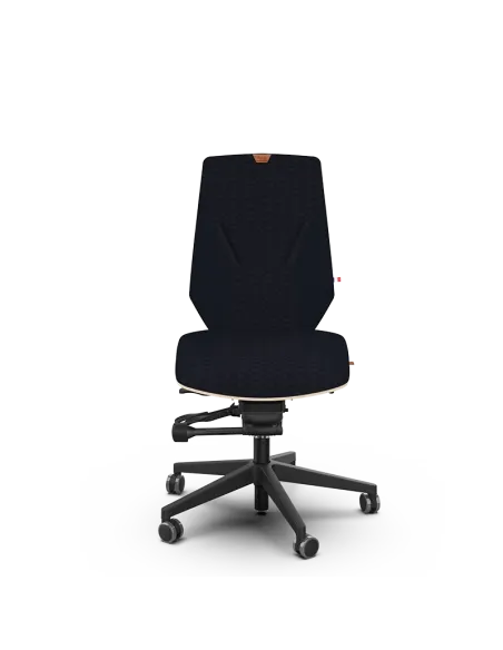 Siège ergonomique AIGOUAL